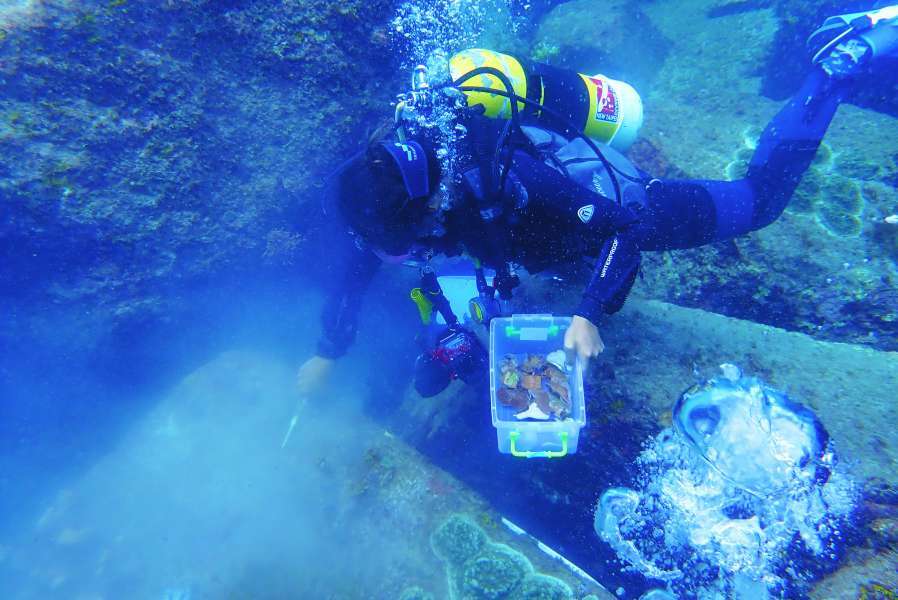 利用水泥固定珊瑚於礁台上