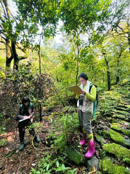 2人一組進行鳥調