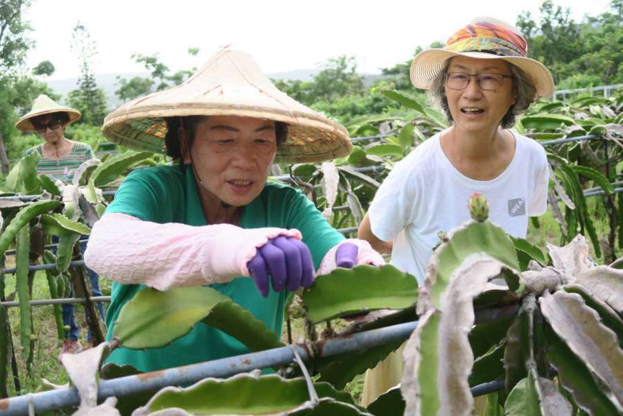 墾丁國家公園推行友善農業