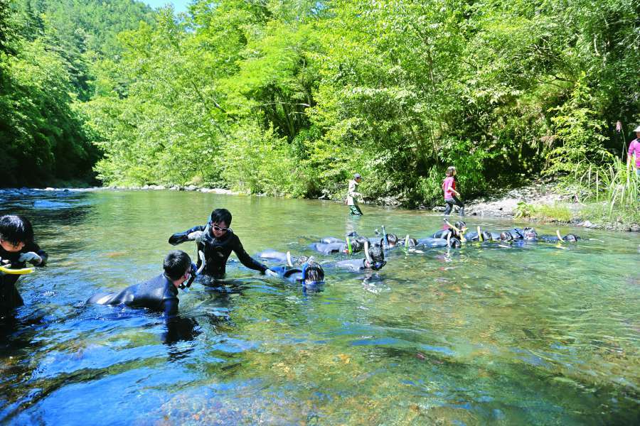 國家公園透過ESG平臺媒合企業和民間團體，為保育的理想與實踐搭建橋樑（圖為Youth Camp活動，體驗研究人員趴溪數臺灣櫻花鉤吻鮭）／雪管處 提供
