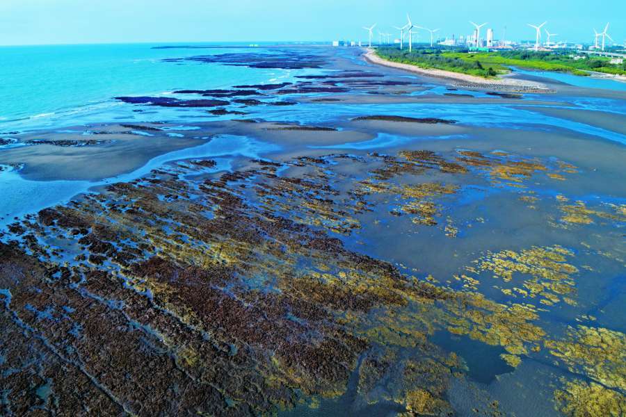 桃園觀新藻礁海岸