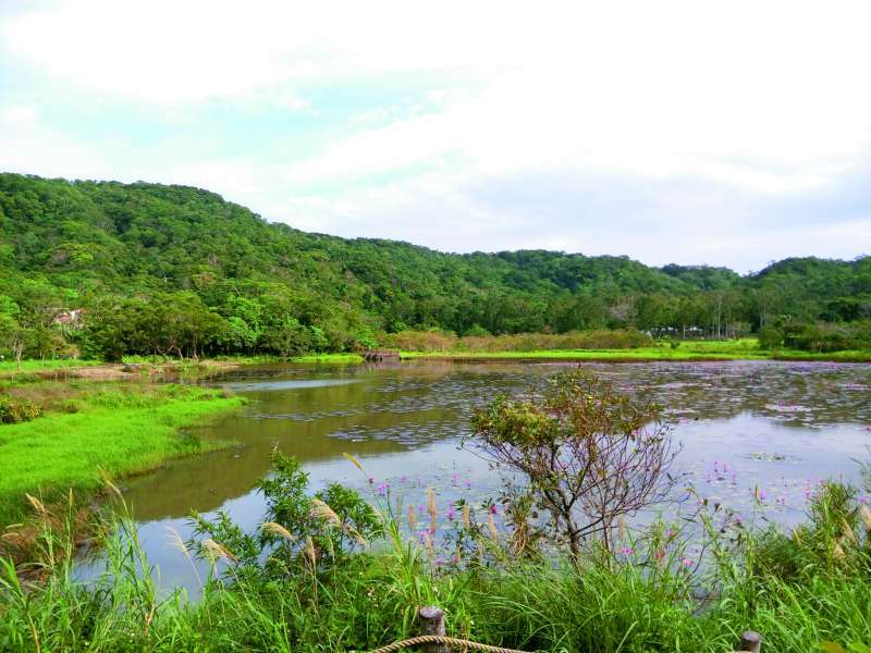 東源濕地牽繫起臺愛研究情誼
