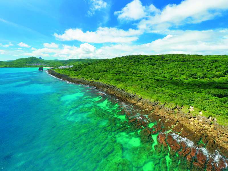 海岸是眾多生命與文化的搖籃（圖為香蕉灣海岸林）／陳忠能 攝