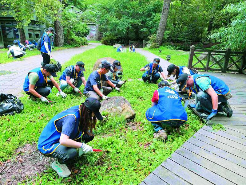 雪管處聯合台灣宅配通移除外來入侵植物／雪管處 提供