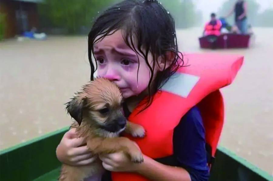 美國遭遇海倫颶風時網上流傳的AI假照片