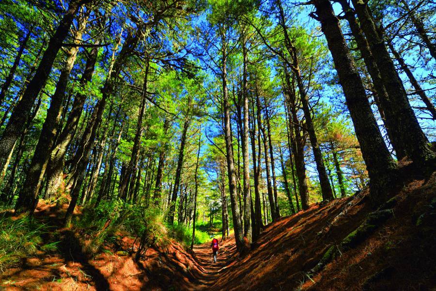 National park trails of varying difficulties offer the perfect setting to practice mountain photography. Pictured here is Songfeng Ridge on the Mountain Nanhu Trail.