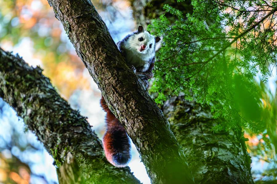 不同難度的國家公園步道都是練習山岳攝影的場域,圖為南湖步道松峰嶺/何昌穎 攝