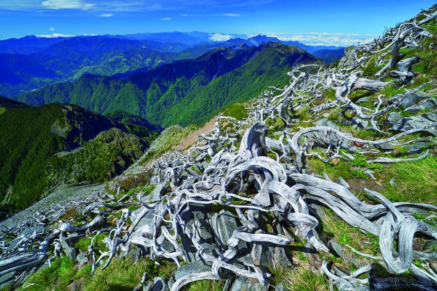 不同難度的國家公園步道都是練習山岳攝影的場域,圖為南湖步道松峰嶺/何昌穎 攝