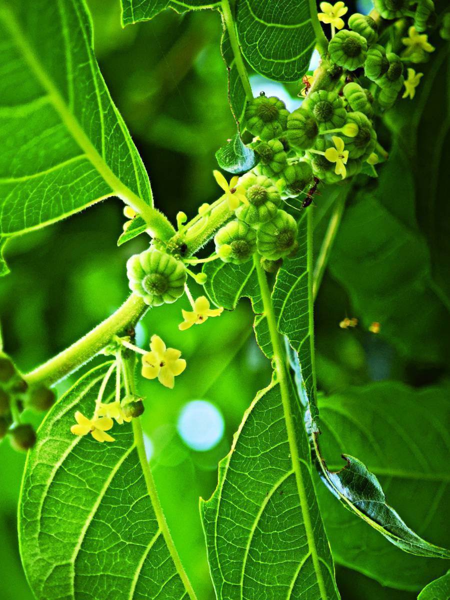 不同難度的國家公園步道都是練習山岳攝影的場域，圖為南湖步道松峰嶺／何昌穎 攝