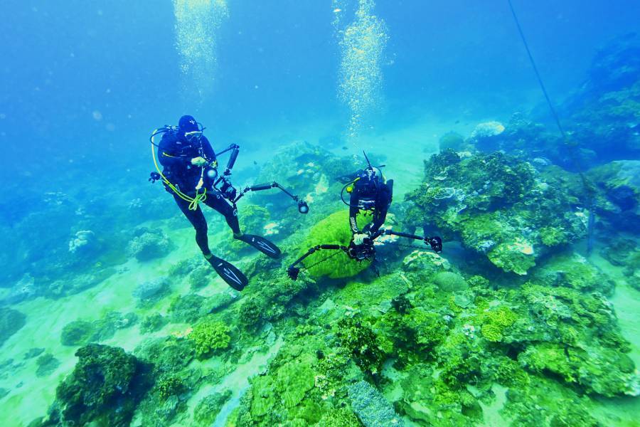 Diving into the ocean to capture a vibrant marine ecosystem./Photo by Yang Cheng-Feng
