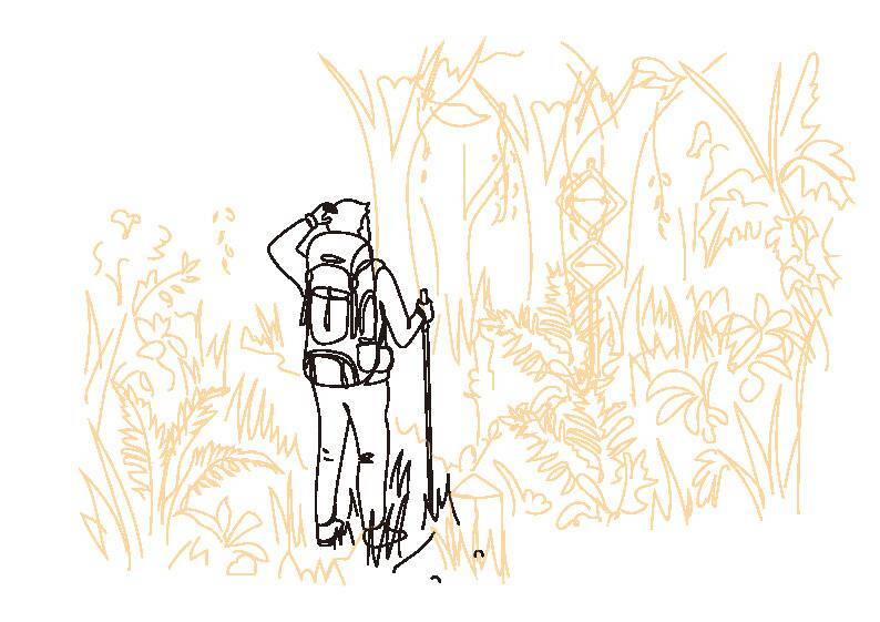 視覺與路跡的盲點誤判
