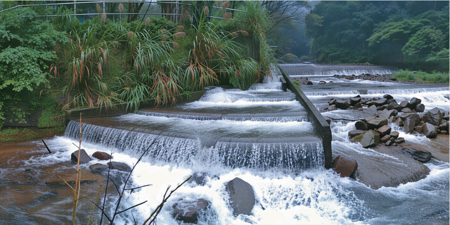更新後的鹿角坑溪魚道全景