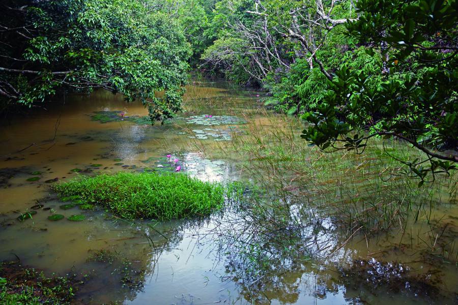 Nanren Ancient Lake./ Photo by Yang Cheng-Feng