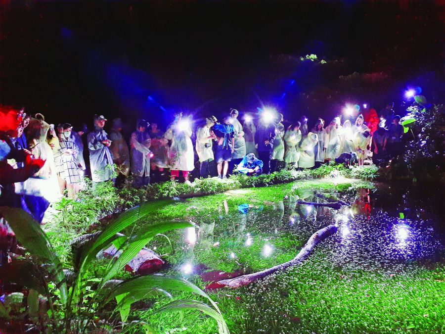 「走進有熊國—臺灣國家公園黑熊保育」特展