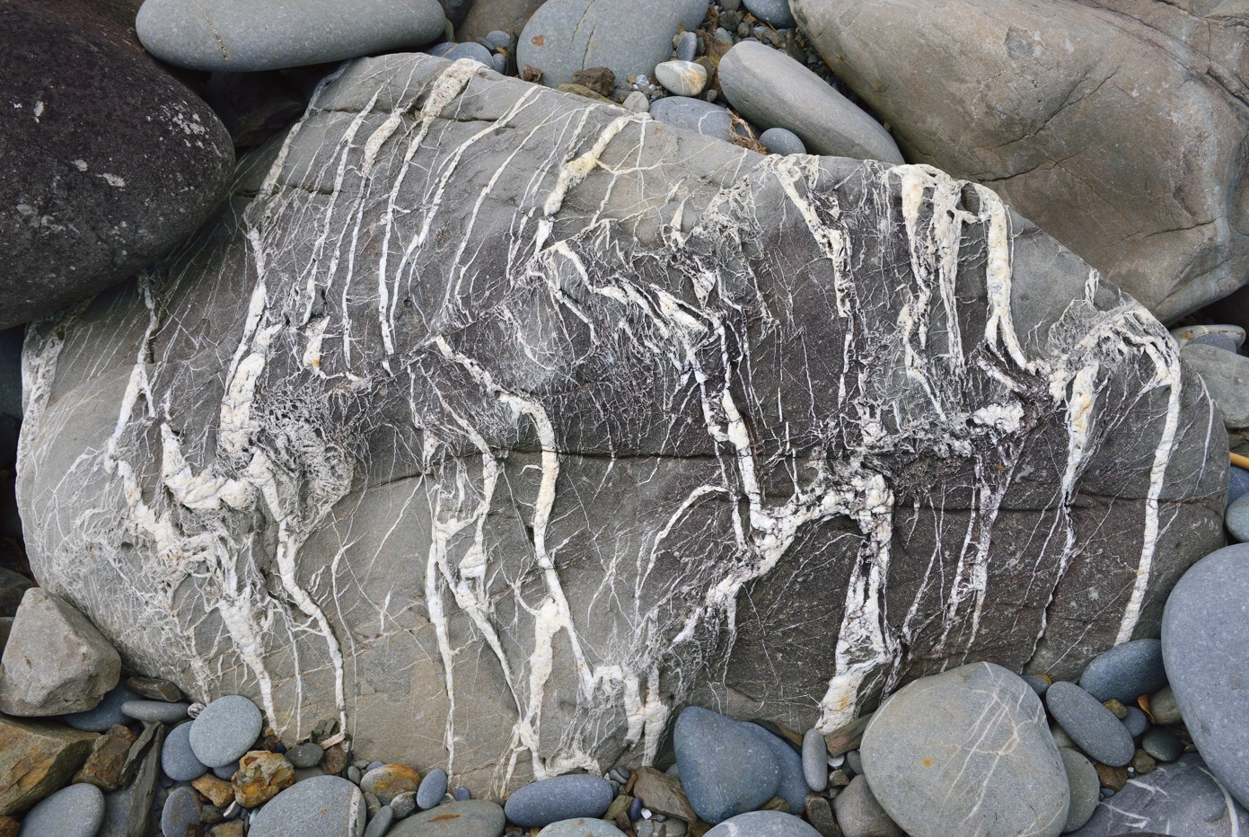 Rock with beautiful quartz veins