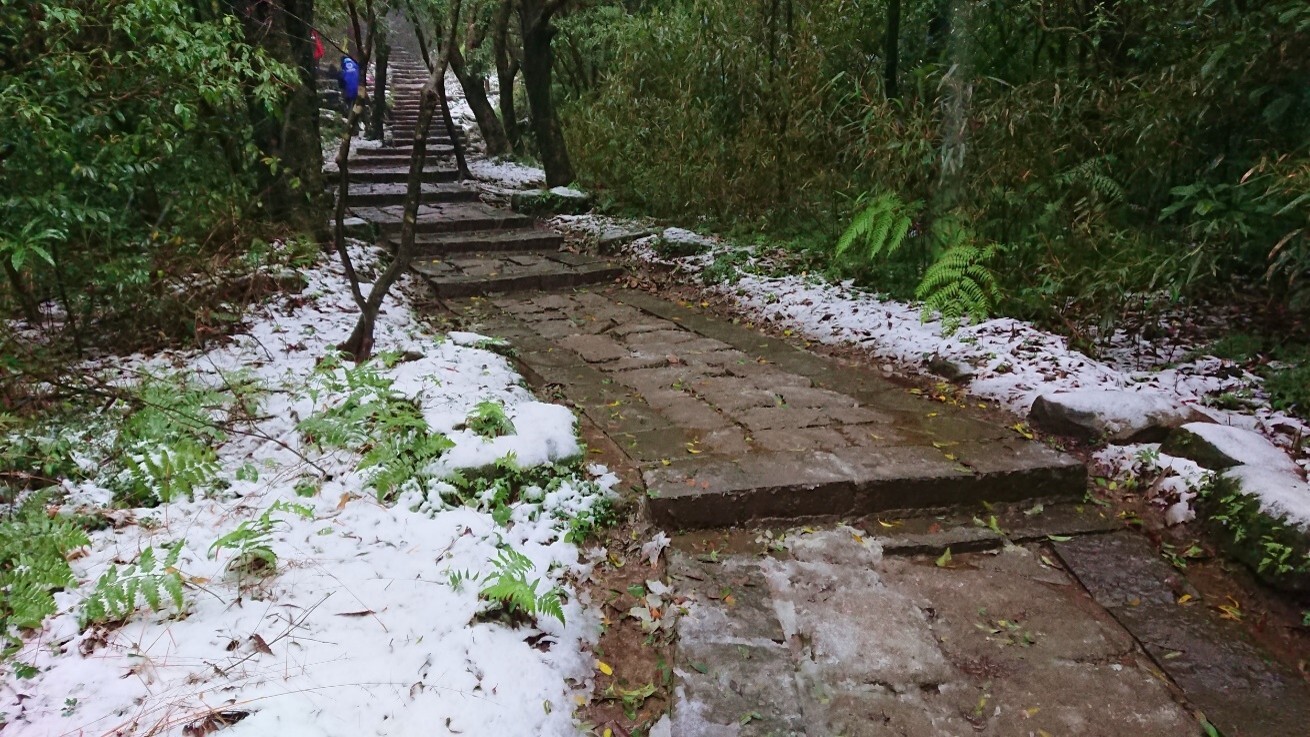 冬天12-2月從苗圃登山口上七星山，較少受到強風吹襲。本圖為曾經下雪的苗圃石階步道。
