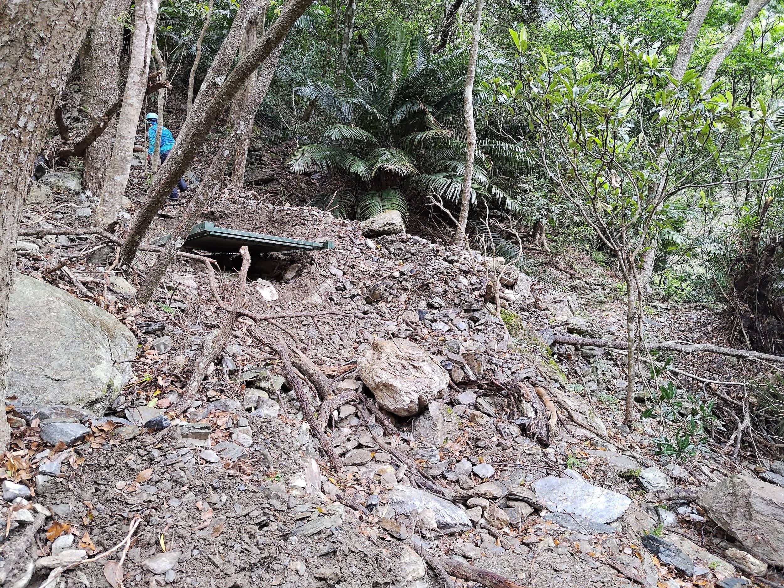 alt-01A-三叉路口-地震後路基牌示遭沒(蔡佩芳)-V