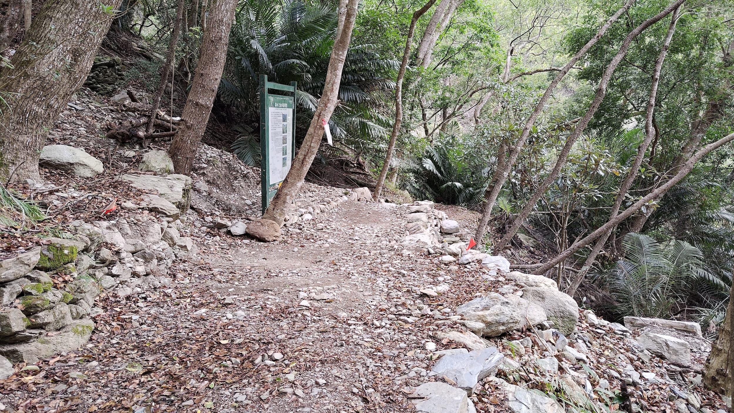 綠水文山步道修復後的現狀 (太管處提供，蔡佩芳攝)