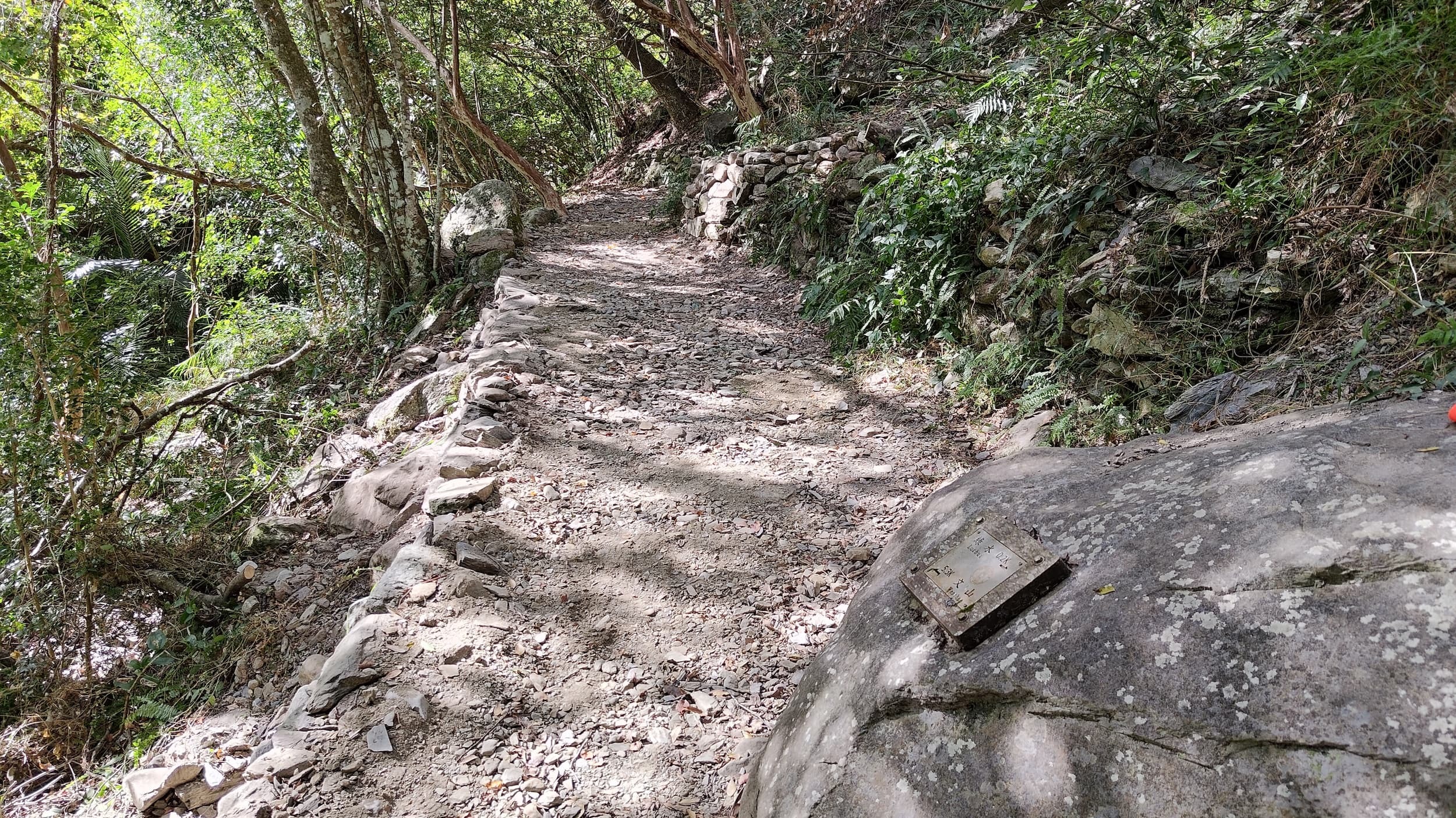 手作步道融入現地自然景觀 (太管處提供，蔡佩芳攝)