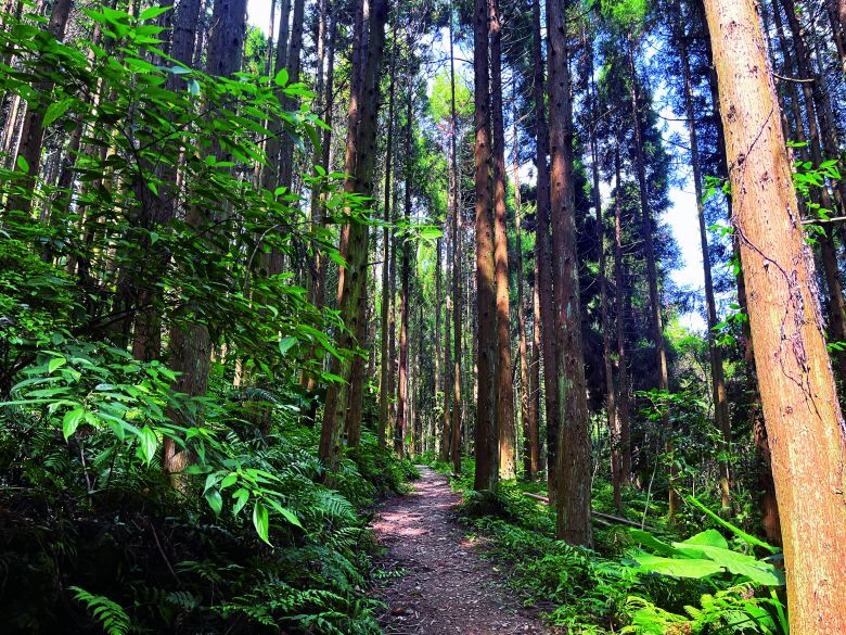 跟著國家公園走一趟從海岸到山巔的慢遊之旅
