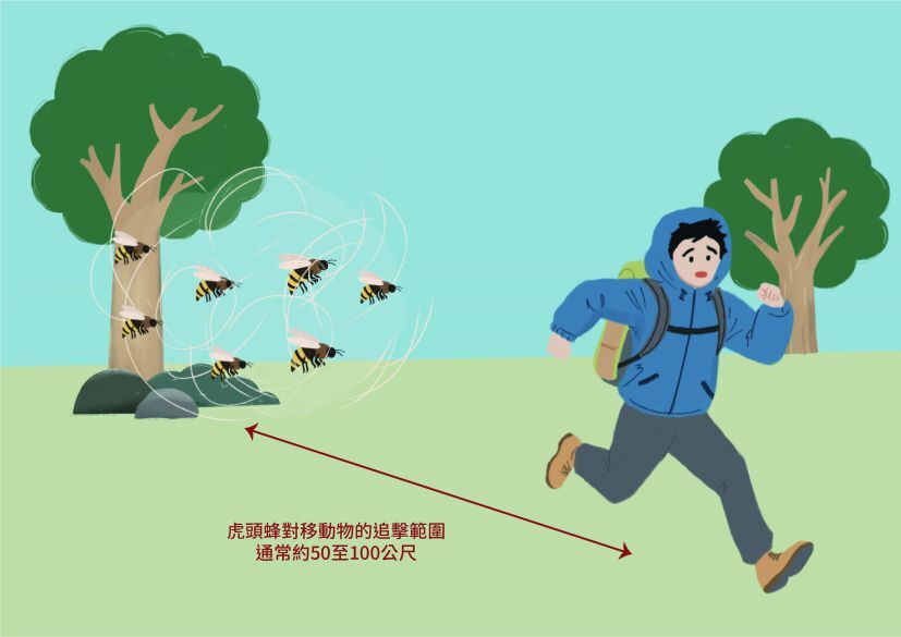 應對蜂螫