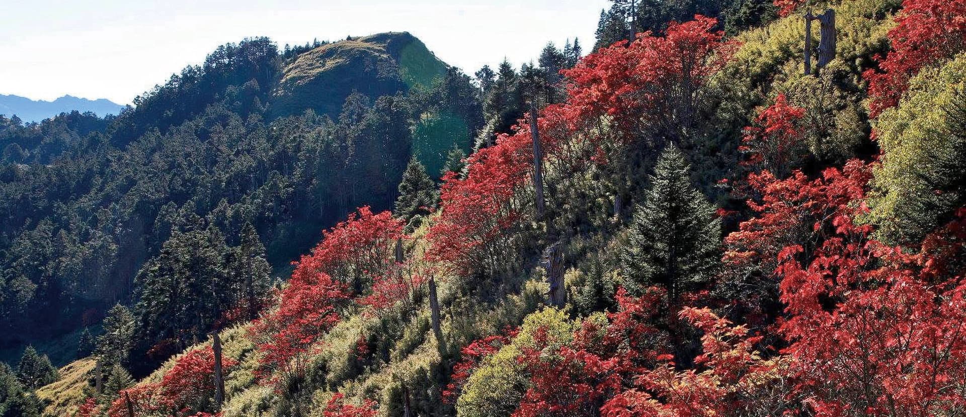 Ridgelines on Fire